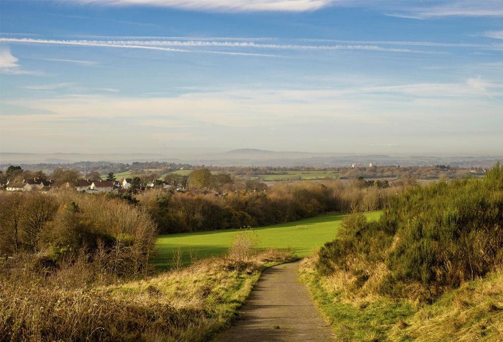Baggeridge Village by David Wilson Homes, 3 4 bedroom Houses