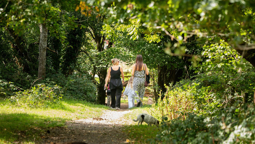 Horndean, Hampshire PO8 