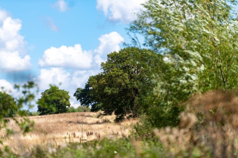 Dunsfold, Surrey GU8 