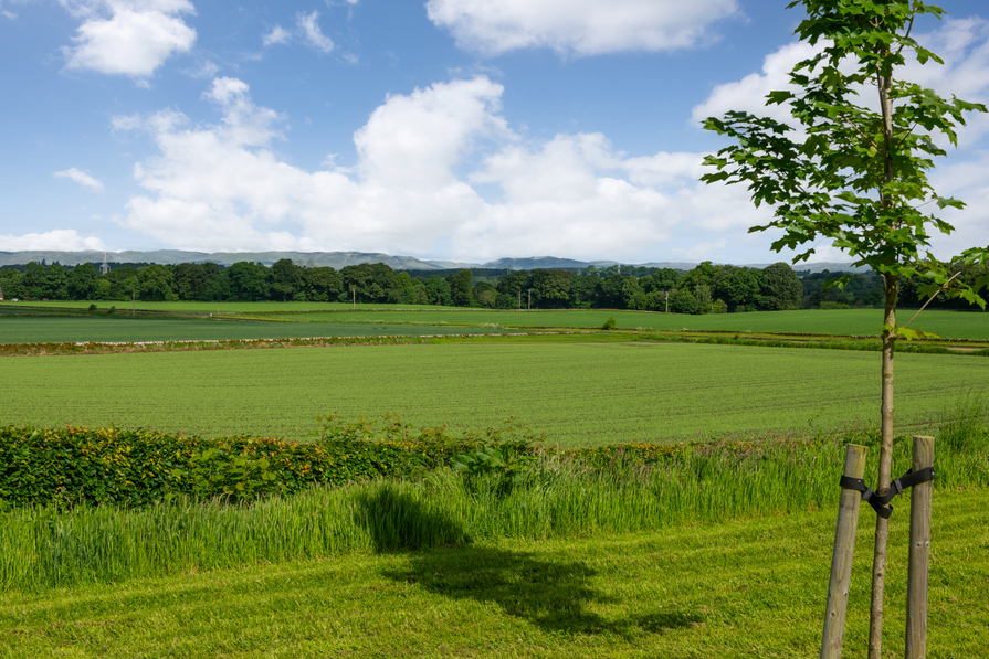 Ruthvenfield, Perth and Kinross PH1 