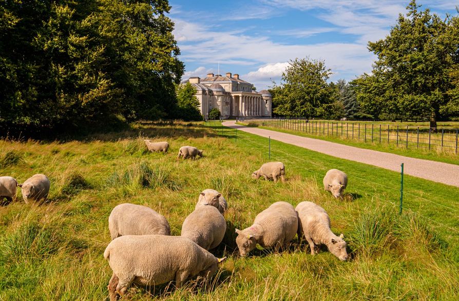 Stafford, Staffordshire ST16