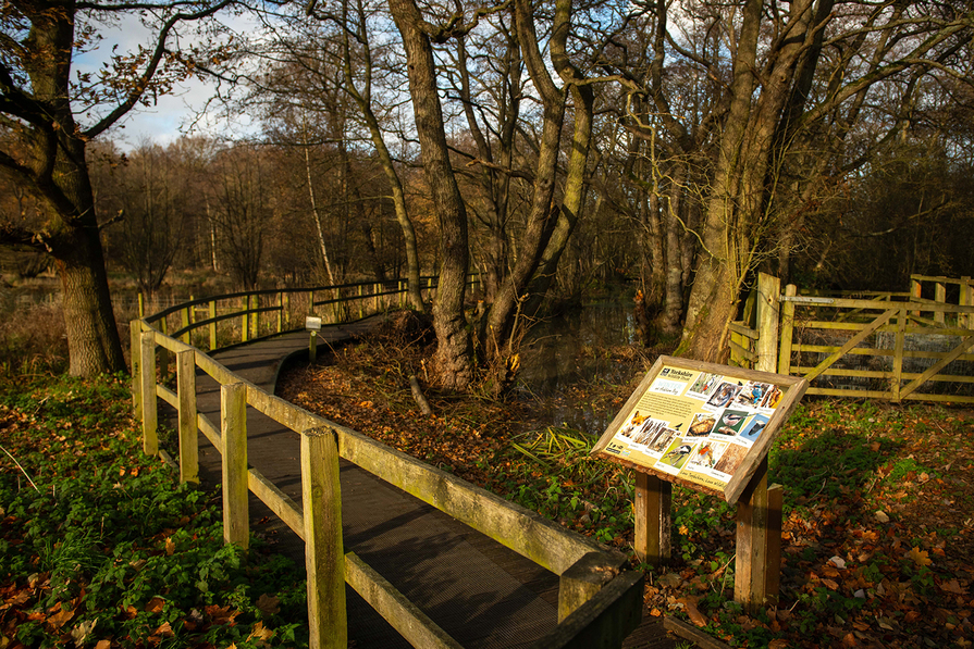 Copmanthorpe, North Yorkshire YO23