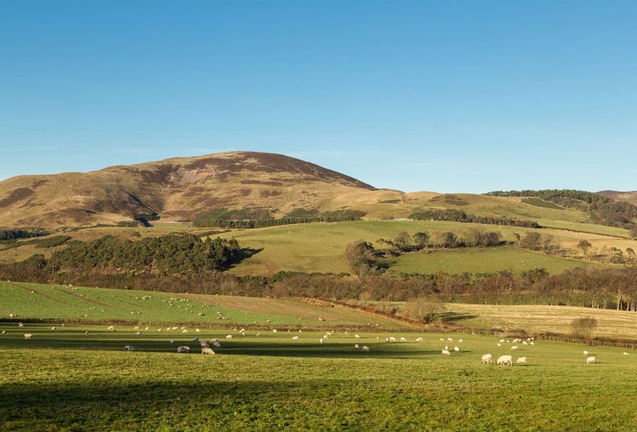 The Limes, Burdiehouse in Edinburgh, Houses by Barratt Homes