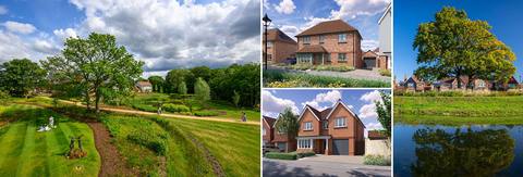 3 bedroom house for sale