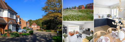 4 bedroom house for sale