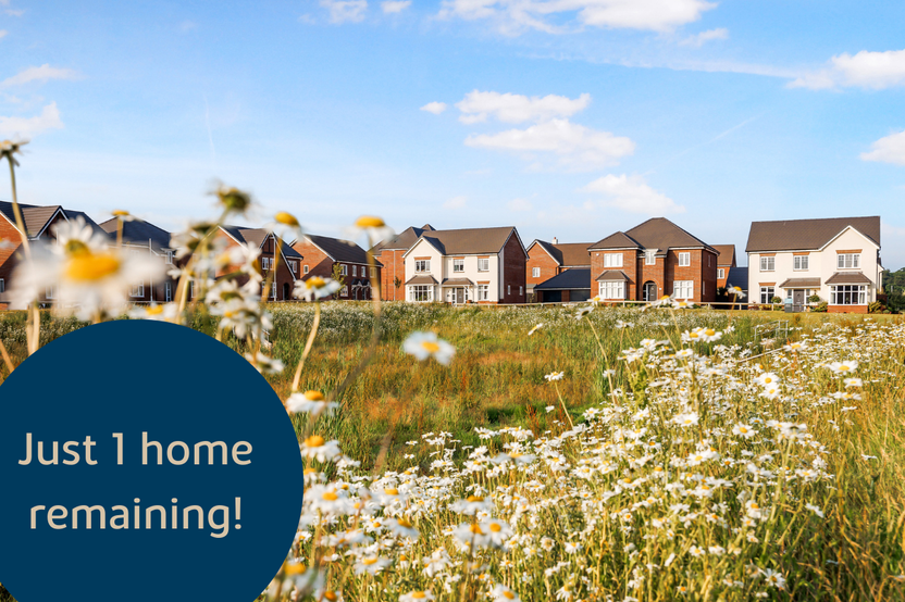 Wellington, Somerset TA21