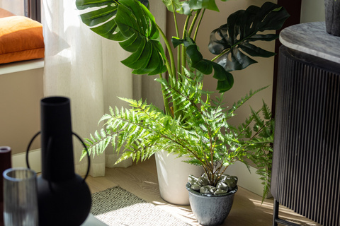 2 bedroom home for sale