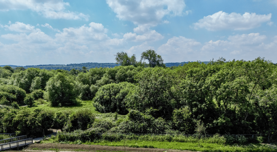 Wytham, Oxfordshire OX2 