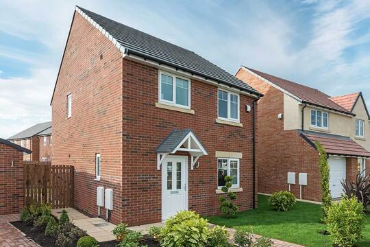 Auckland Park, County Durham DL14