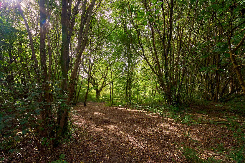 Botley, Hampshire SO32