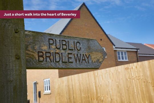 Beverley, East Riding of Yorkshire HU17