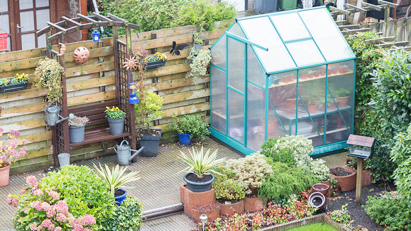 Tidy up the shed and greenhouse, inside and out