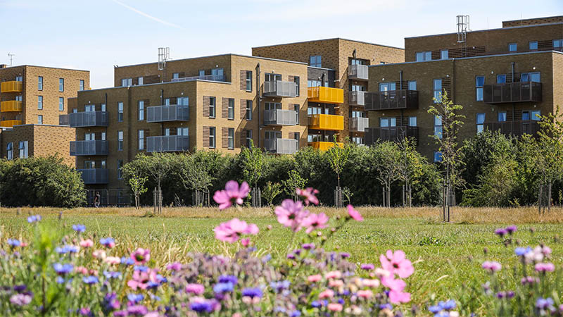 Rectory Park (Network Homes)