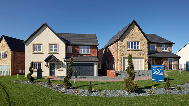 Story Homes property types