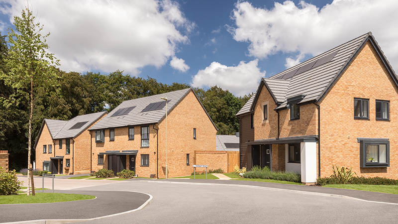 Gillies Meadow (David Wilson Homes)