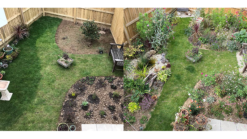 Jill's garden, before and after