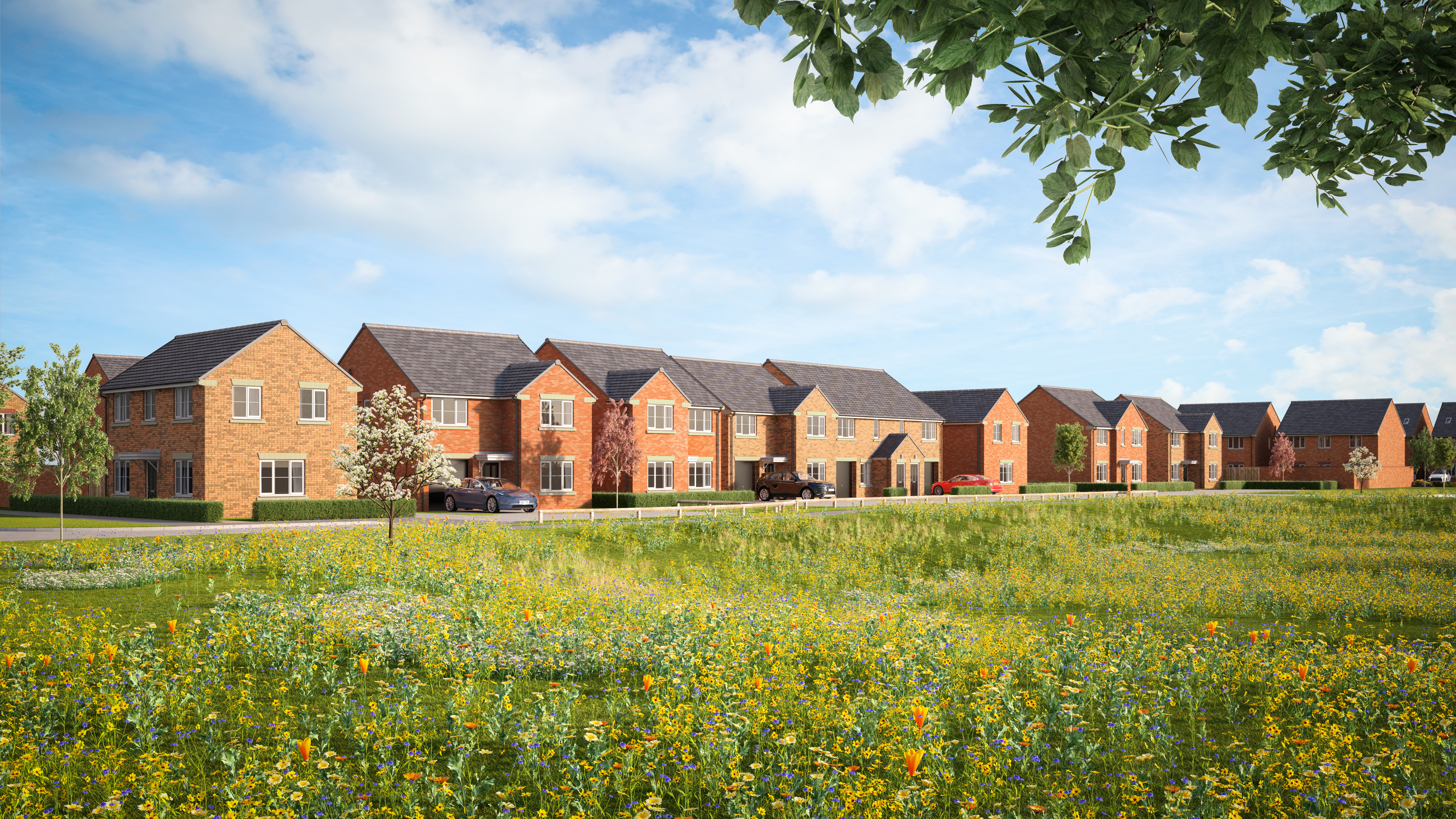 Westward Green (Avant Homes)