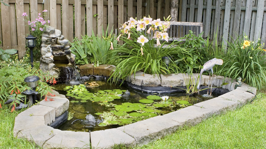 Install a garden pond
