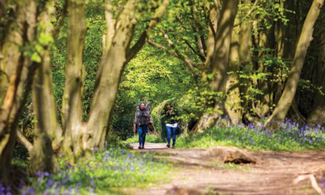Cuffley, Hertfordshire EN6 