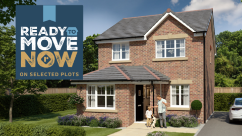 Studio home for sale