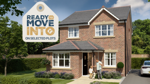 Studio home for sale