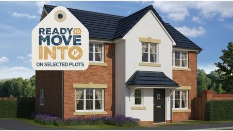 Studio home for sale