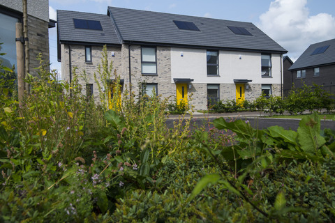 4 bedroom home for rent