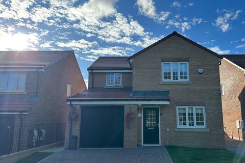 Auckland Park, County Durham DL14
