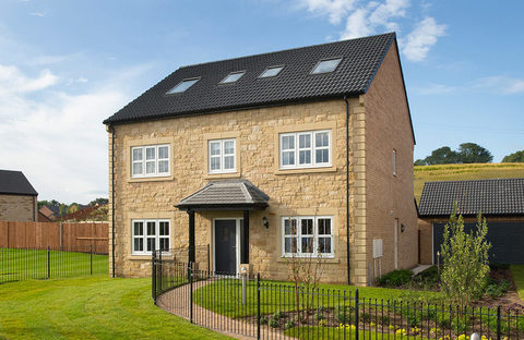 Alnwick, Northumberland NE66