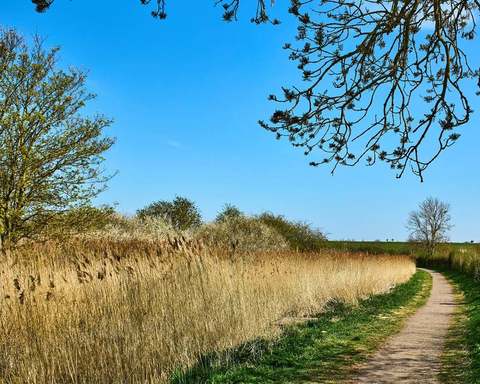 3 bedroom home for sale