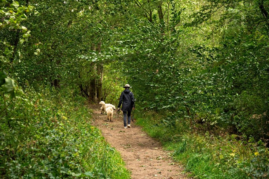 Low Coniscliffe, County Durham DL2 