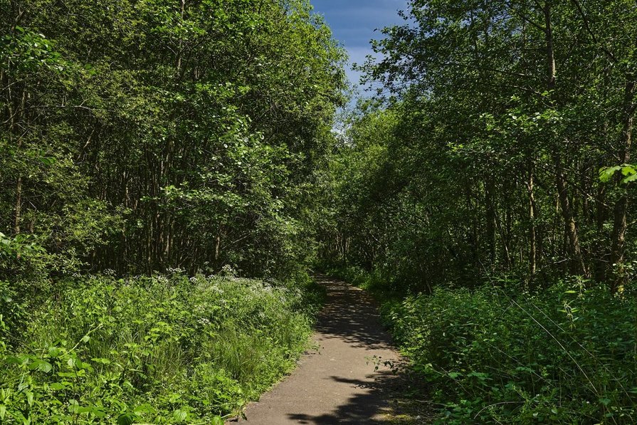 Cwmgelli, Caerphilly NP12