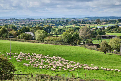 3 bedroom home for sale