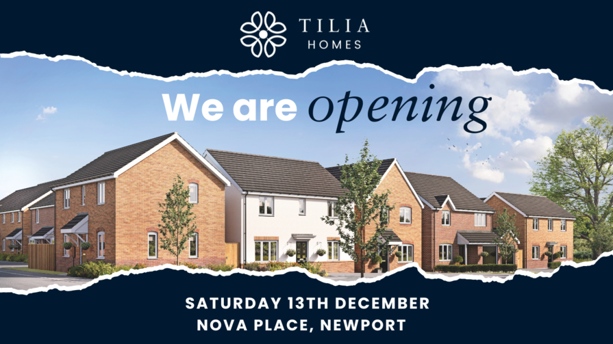 Newport, Shropshire TF10