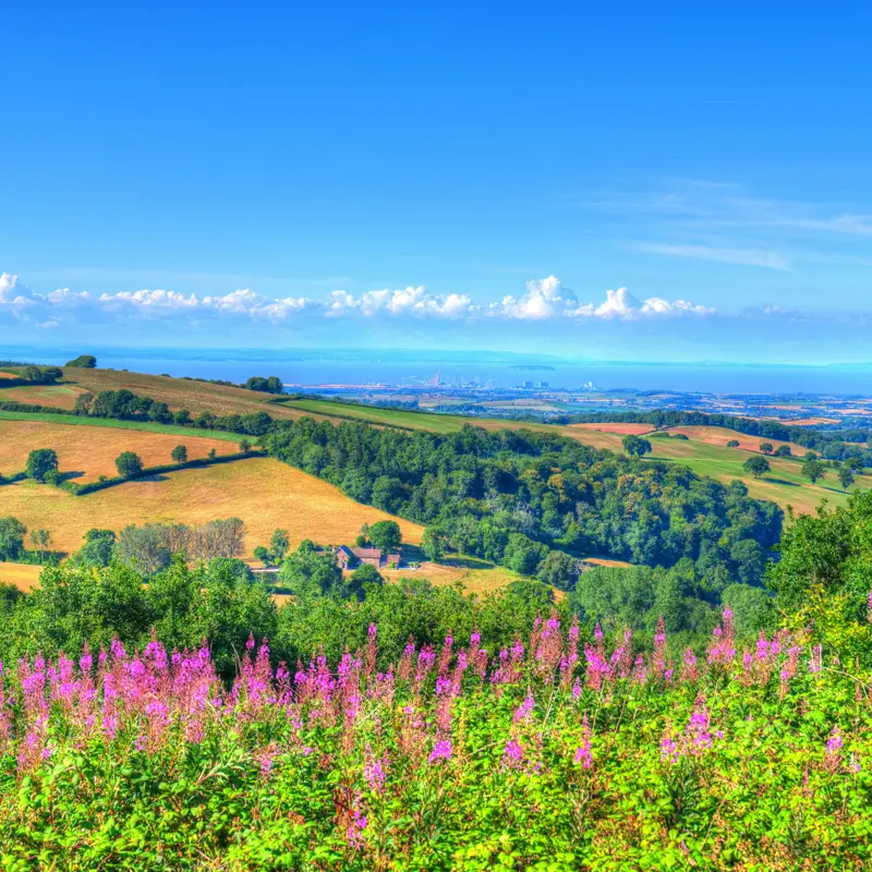 Spaxton, Somerset TA5 